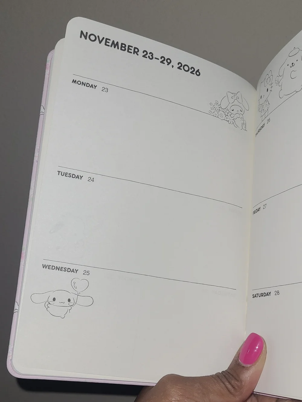 Sanrio 17 month